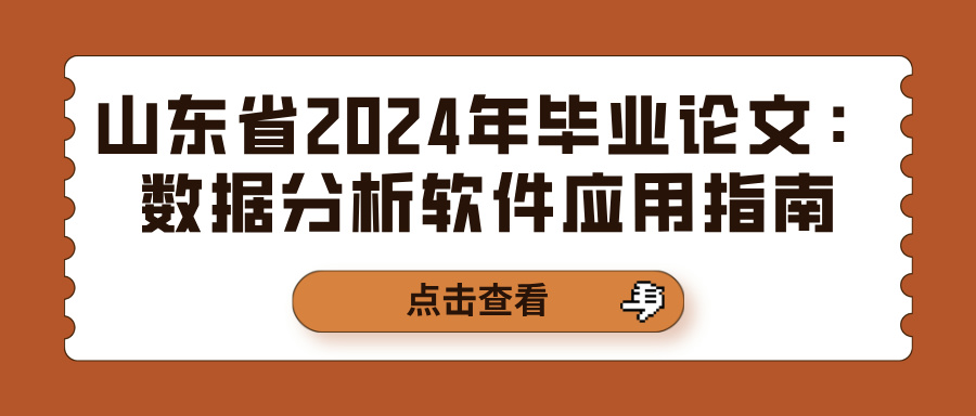 山东省2024年毕业论文：数据分析软件应用指南